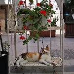 Gafa Garden & - Great Location