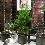 Gafa Garden & - Great Location Hostel *
