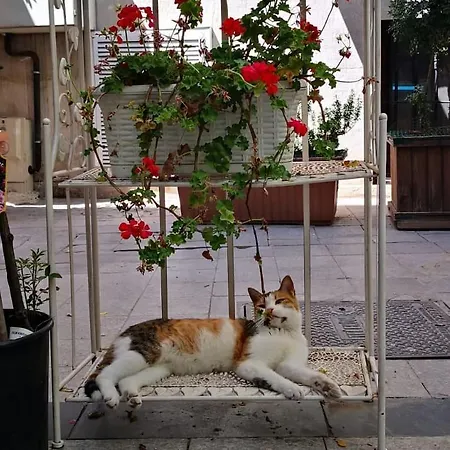 Gafa Garden & - Great Location