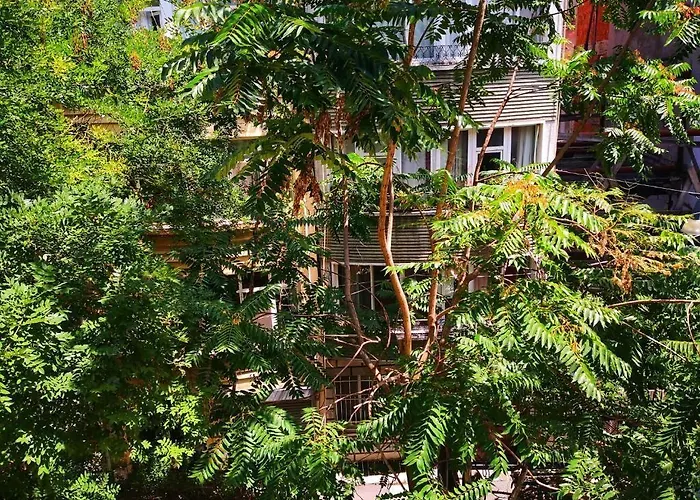 Vandrerhjem Gafa Garden & - Great Location Istanbul